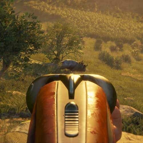 theHunter Call of the Wild - Weapon Pack 2 DLC Cd Key Steam Global